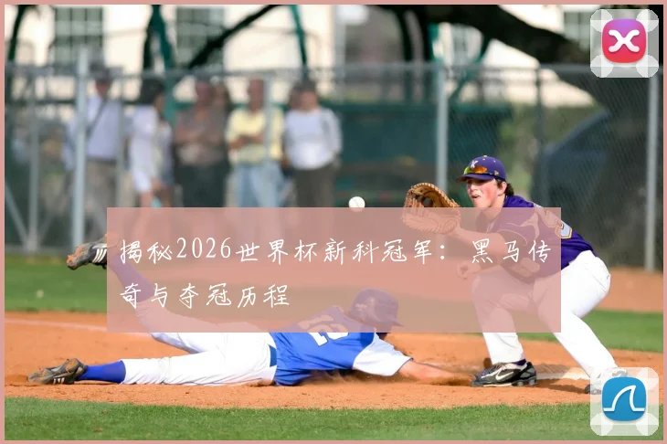 揭秘2026世界杯新科冠军:黑马传奇与夺冠历程